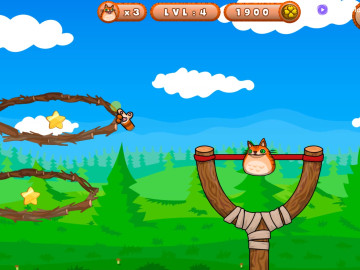 Candy Cat Shot