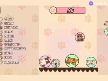 Cat Suika