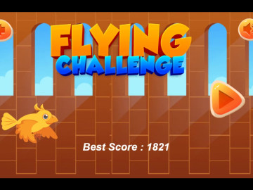 Flying Challenge