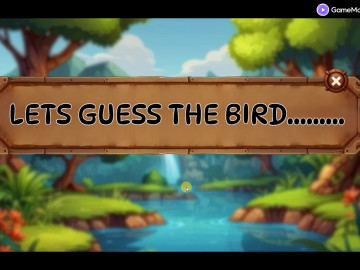 Meet The Birds