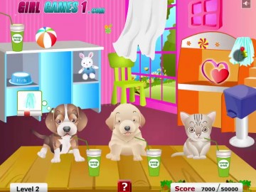 Pet Care