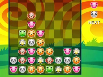 Pet Party Columns