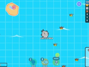 Shark Attack