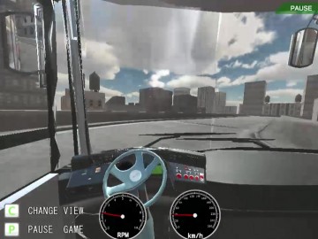 Town Bus Driver